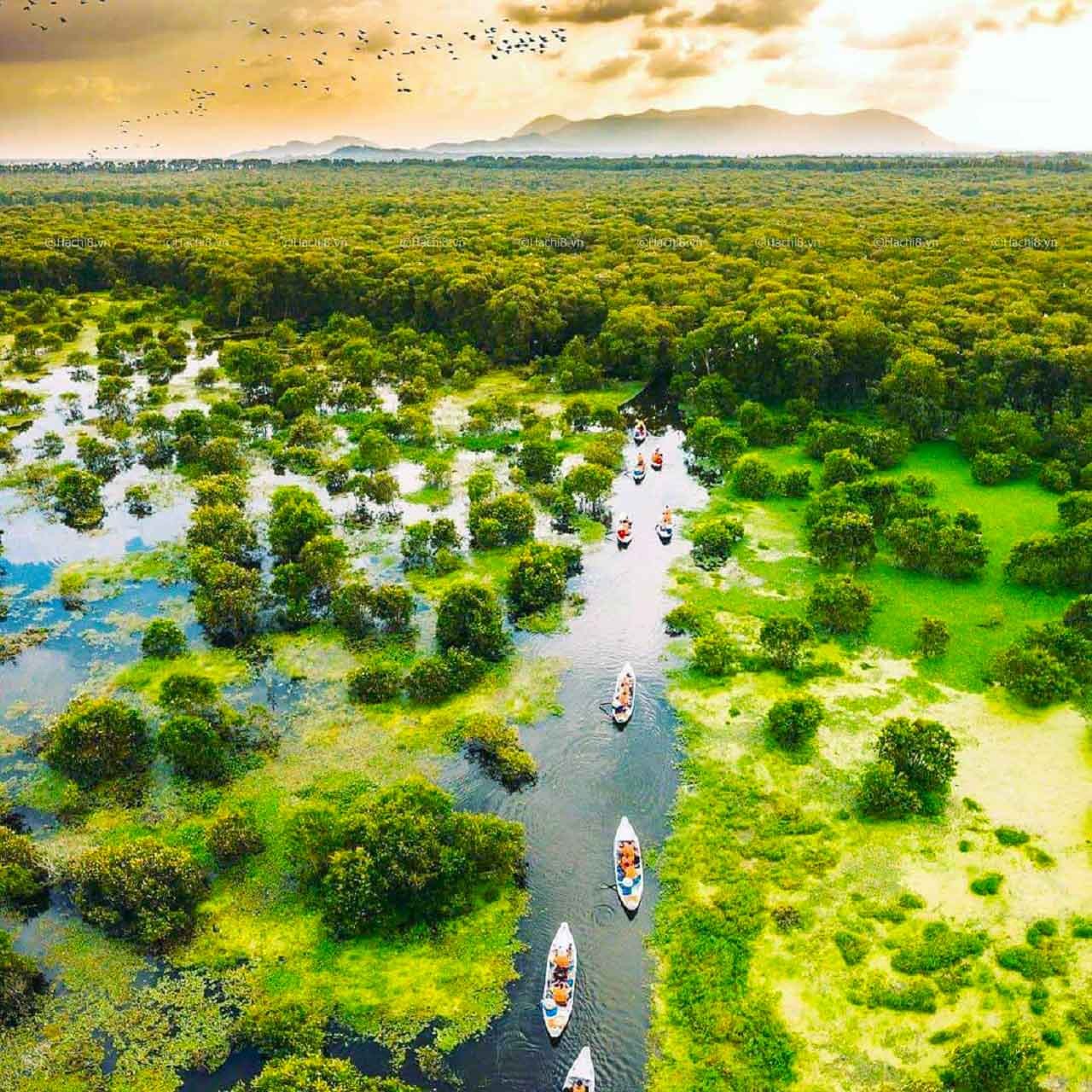 Thuyền chèo trên dòng nước xanh biếc tại rừng tràm Trà Sư