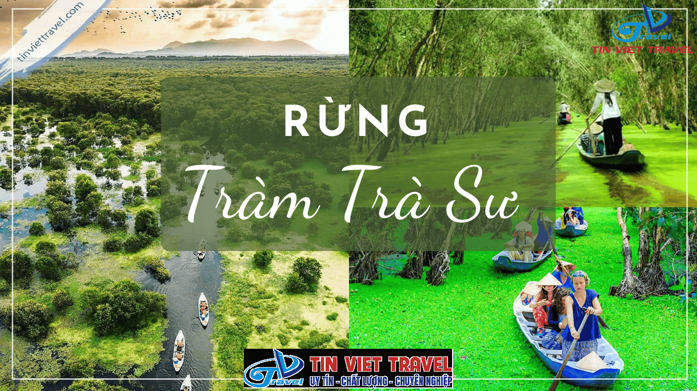 Cổng vào rừng tràm Trà Sư với hàng cây xanh mướt