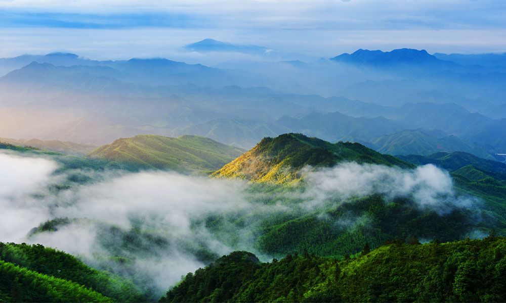 Cảnh quan xanh mát trong rừng nguyên sinh Đại Vi Sơn