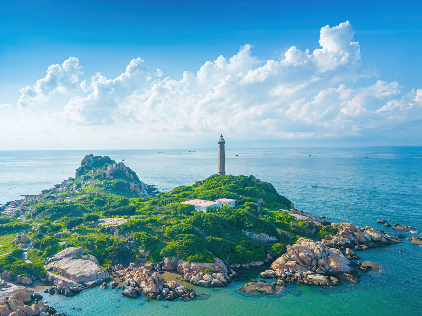 Vườn thanh long dưới ánh nắng vàng ươm