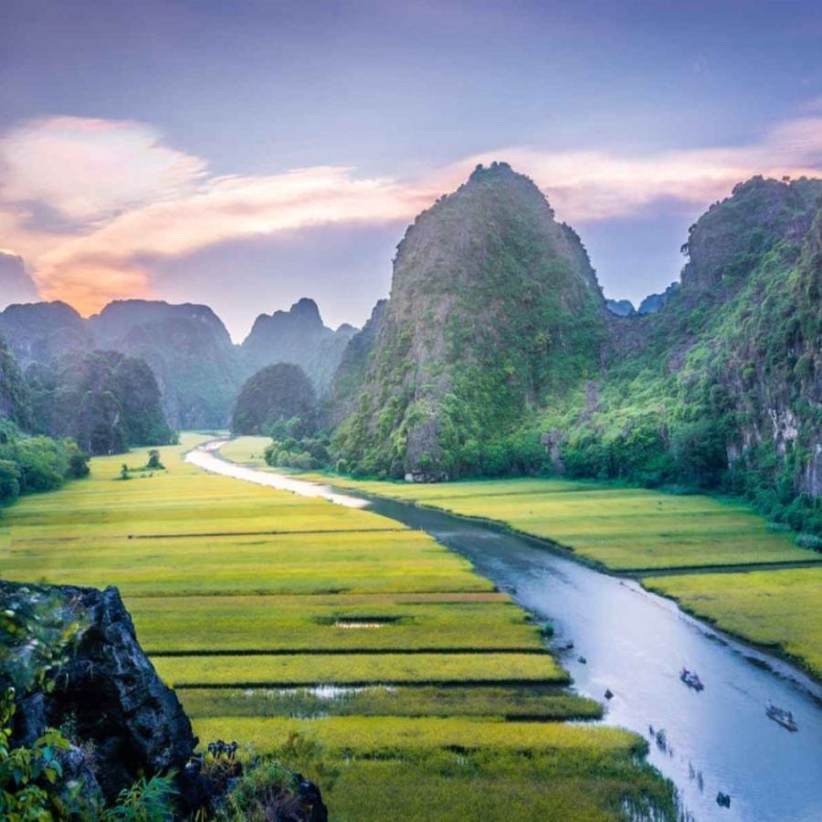 Cảnh sắc Tam Cốc - Bích Động mùa lúa chín