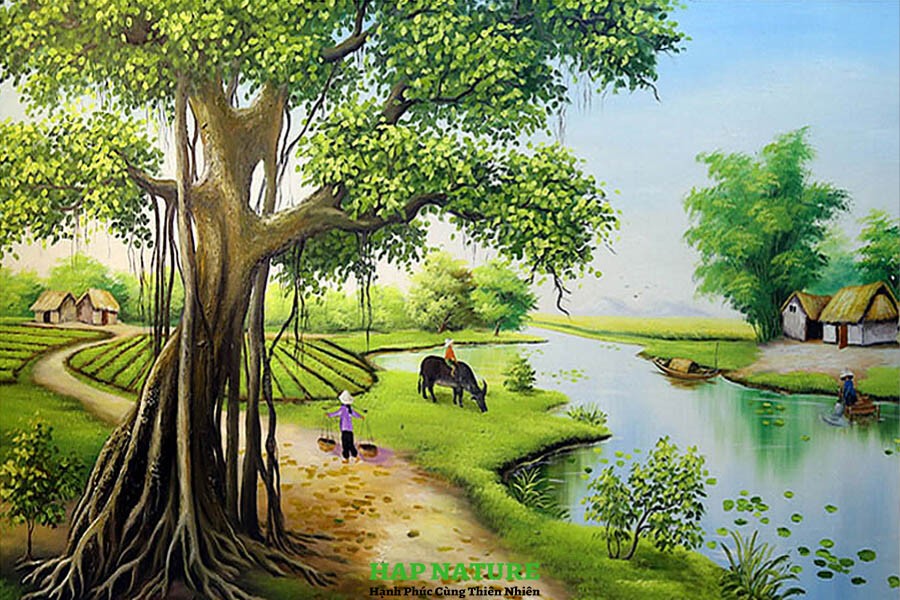 Dòng sông và cảnh quê hương yên bình