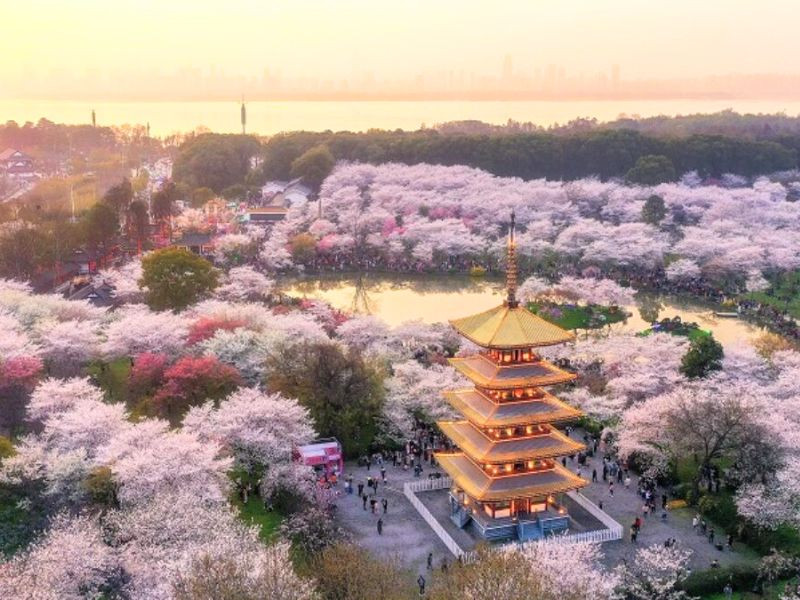 Công viên Đền với nhiều loại hoa