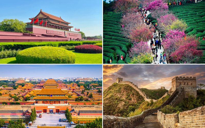 Vẻ đẹp mùa xuân Bắc Kinh