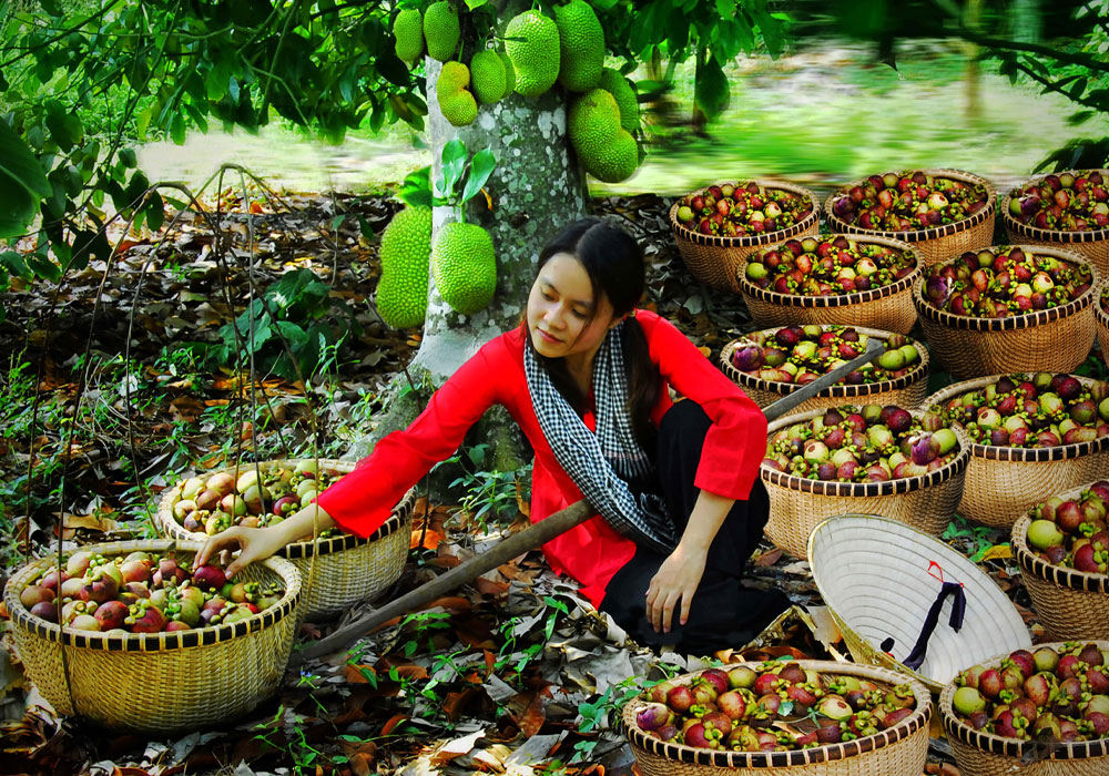 Trái cây Lái Thiêu