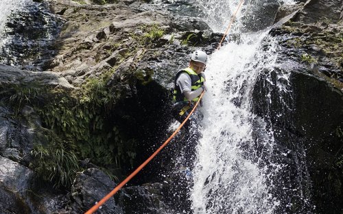 Phong cảnh yên bình trên đảo Lamma với bờ biển và cây cối