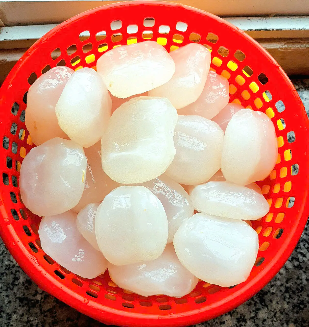 Cây thốt nốt Tri Tôn