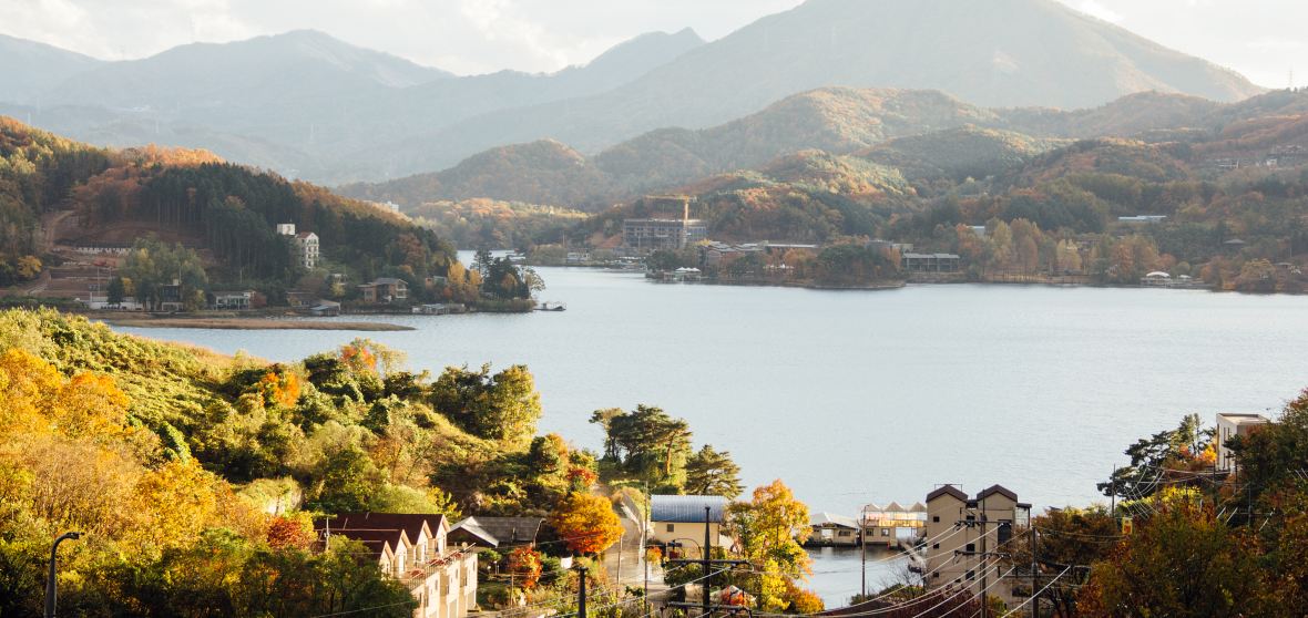 Vườn Morning Calm: Nốt Lặng Diệu Kỳ Giữa Mùa Thu Hàn Quốc 🍁