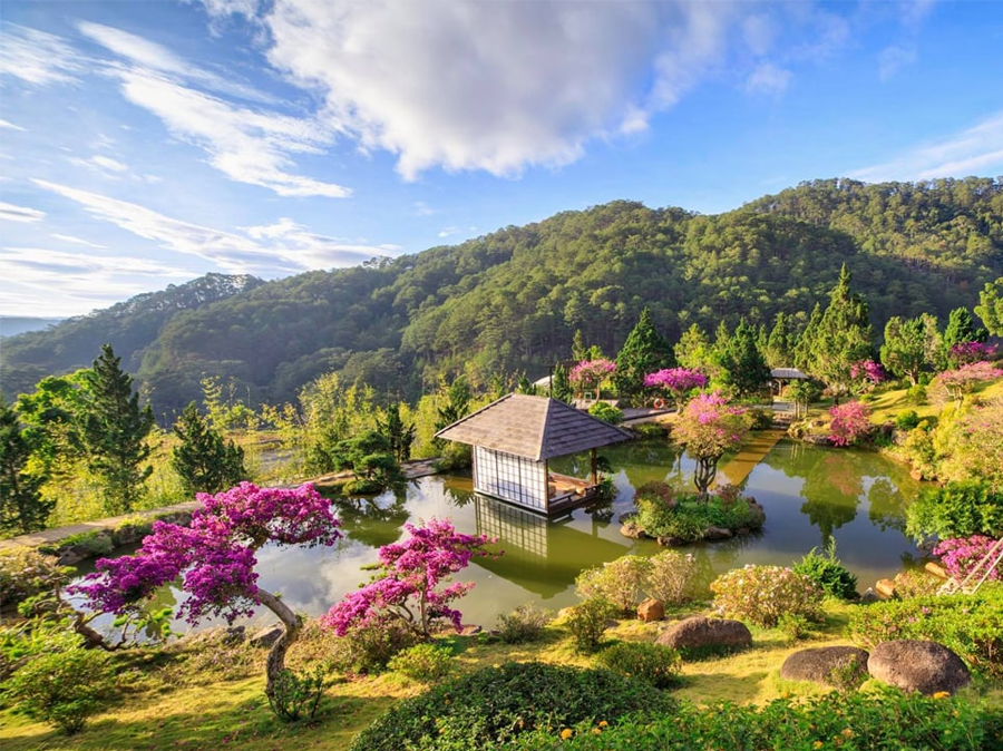 Đà Lạt Mộng Mơ: Chốn Bình Yên Nơi Trái Tim Tôi Gửi Lại!