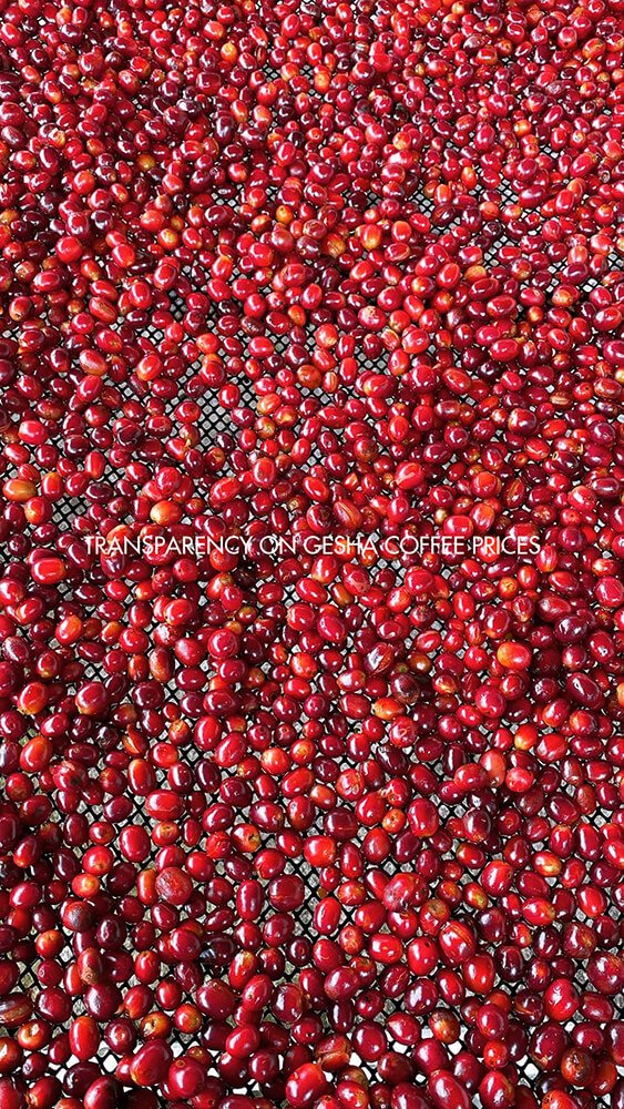 Minh bạch về giá cả