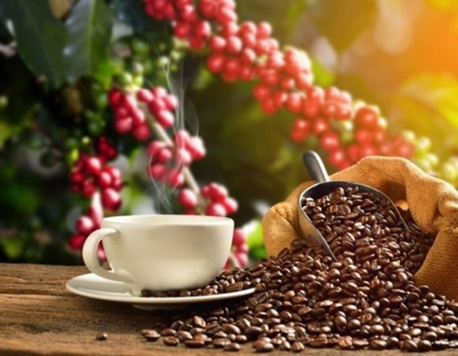 Một ly cà phê trứng đặc trưng của Việt Nam