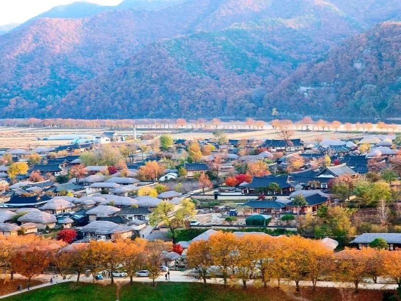 Món gà Jjimdalk Andong