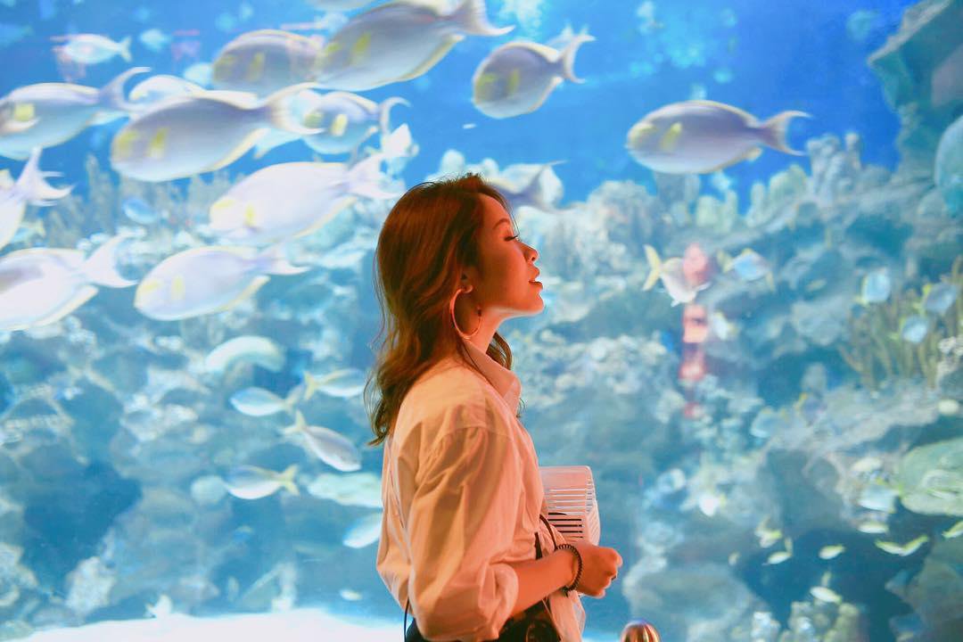 Tổng hợp các thủy cung đẹp nhất Châu Á