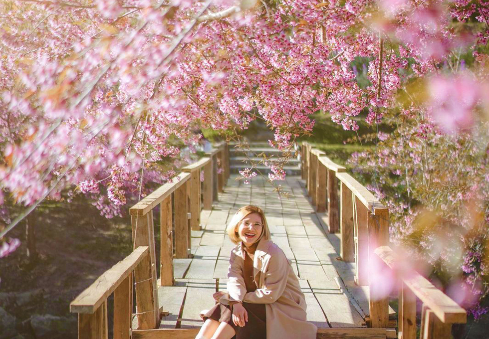 Chiang Mai Tháng 2: Lạc Bước Giữa Sắc Hoa, Khí Trời Dịu Mát Và Những Trải Nghiệm Khó Quên!