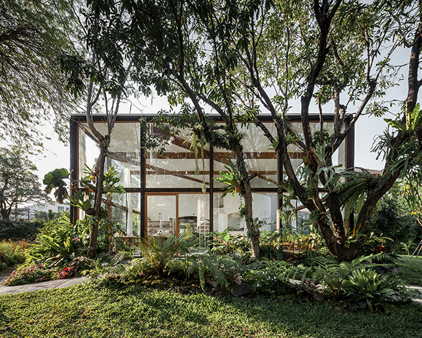 Patom Organic Living interior with wooden tables and light-filled space