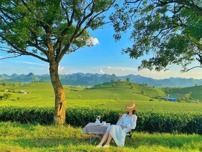 Cảnh quan thiên nhiên tươi đẹp ở Mộc Châu