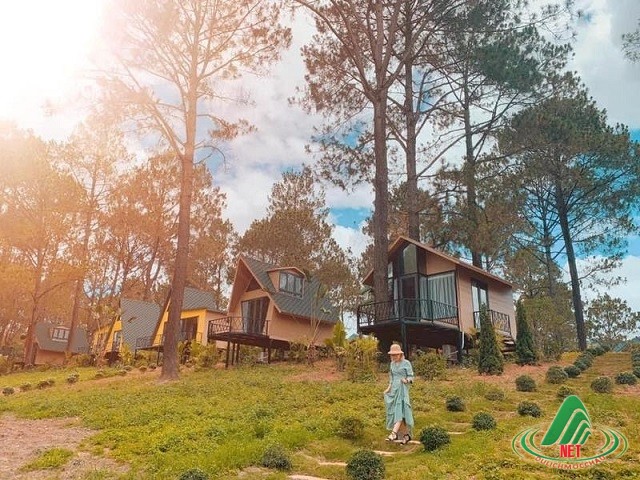 Serene green landscape, symbolizing peace and relaxation