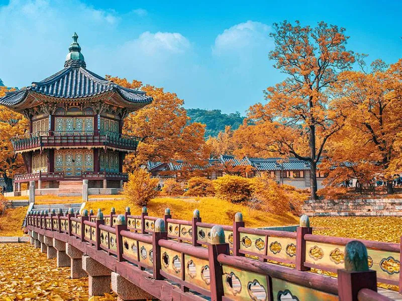 Du khách mua sắm tại Hàn Quốc