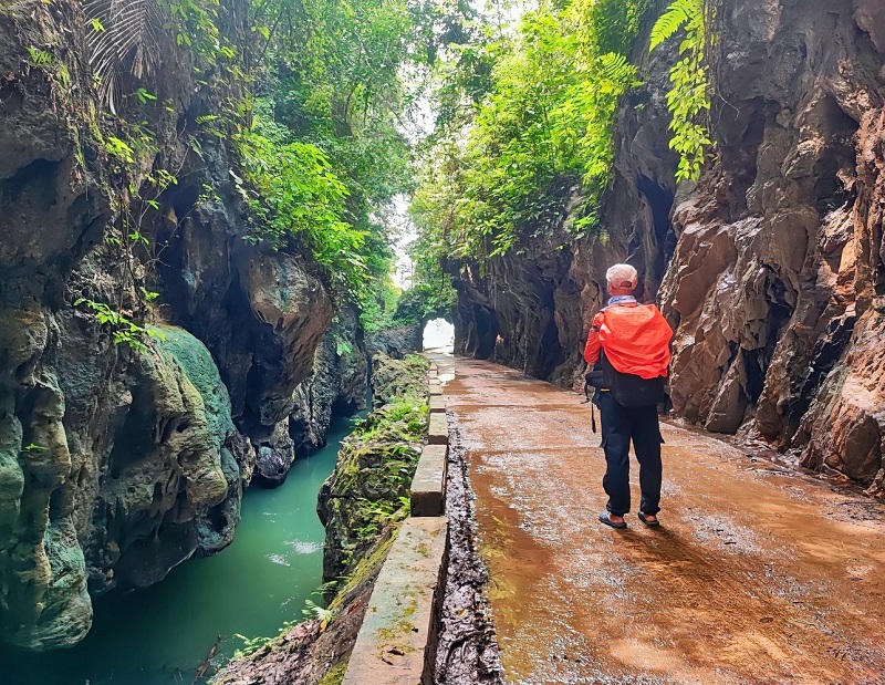 Cửa hầm Pháp cổ rêu phong, bao quanh bởi cây cối xanh tươi.