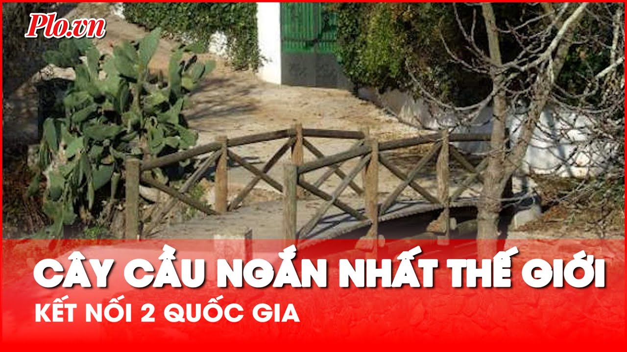 Du khách tại cầu El Marco