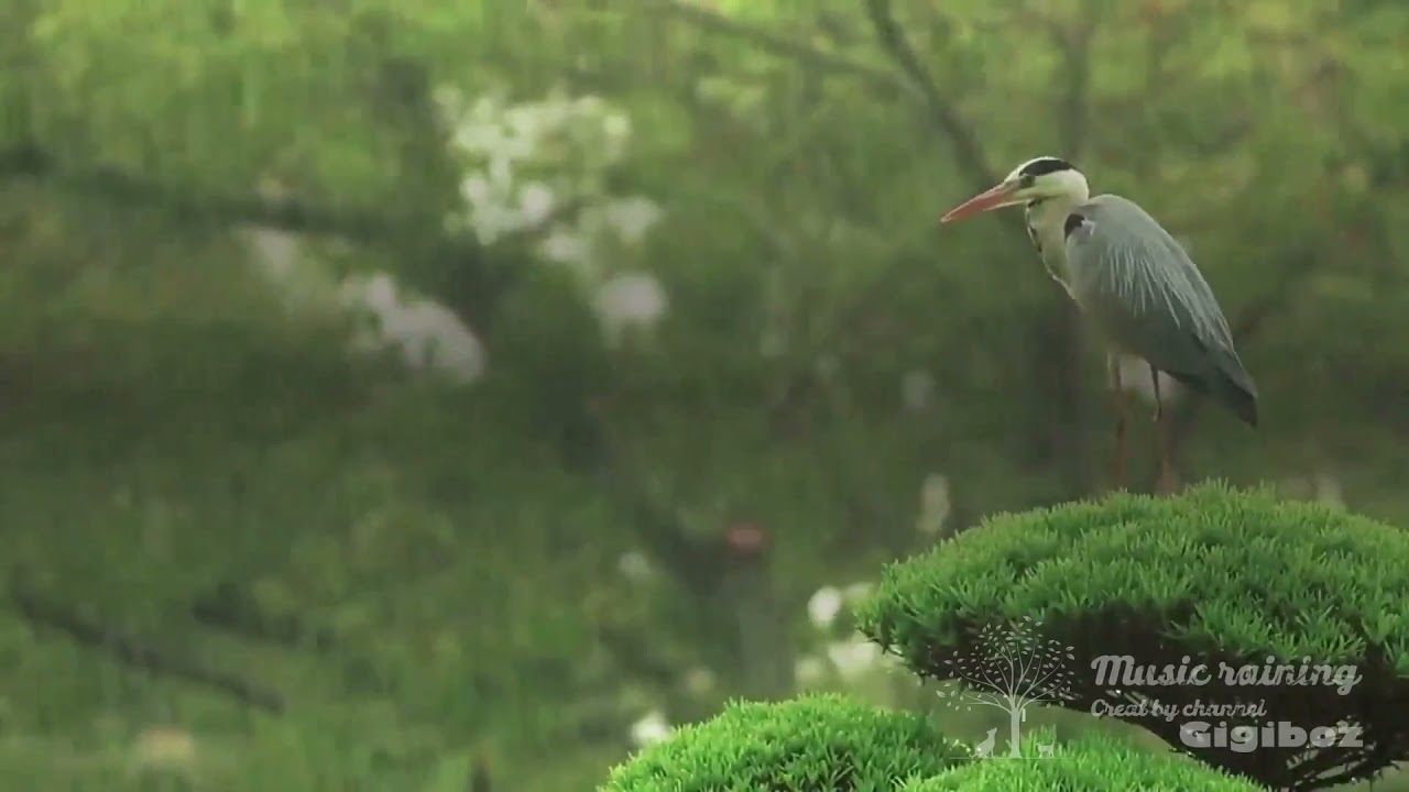 Mọi người ngâm mình thư giãn trong dòng nước ấm