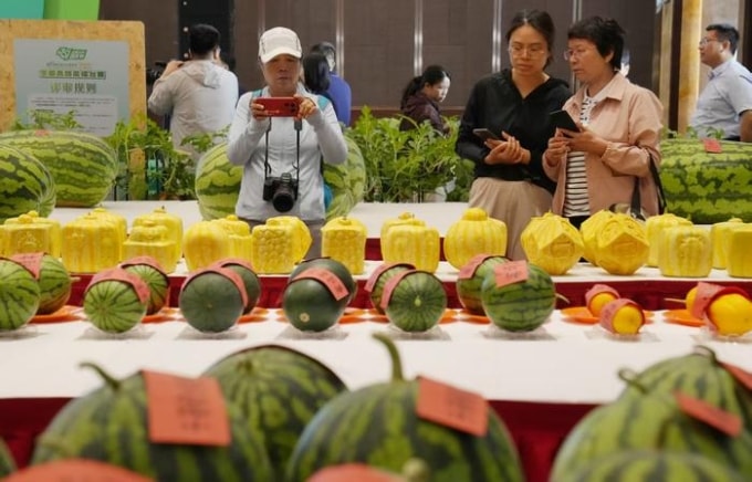 Một lát dưa hấu đỏ tươi, mọng nước được cắt ra