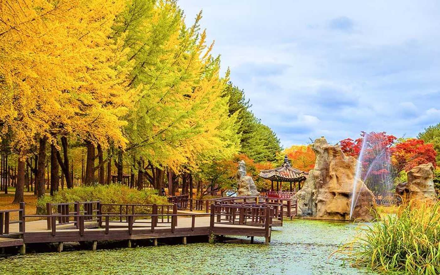 Con đường tình yêu trên đảo Nami