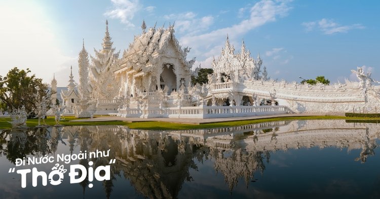 Những chú cừu đáng yêu ở Cowboy Army Riding Club