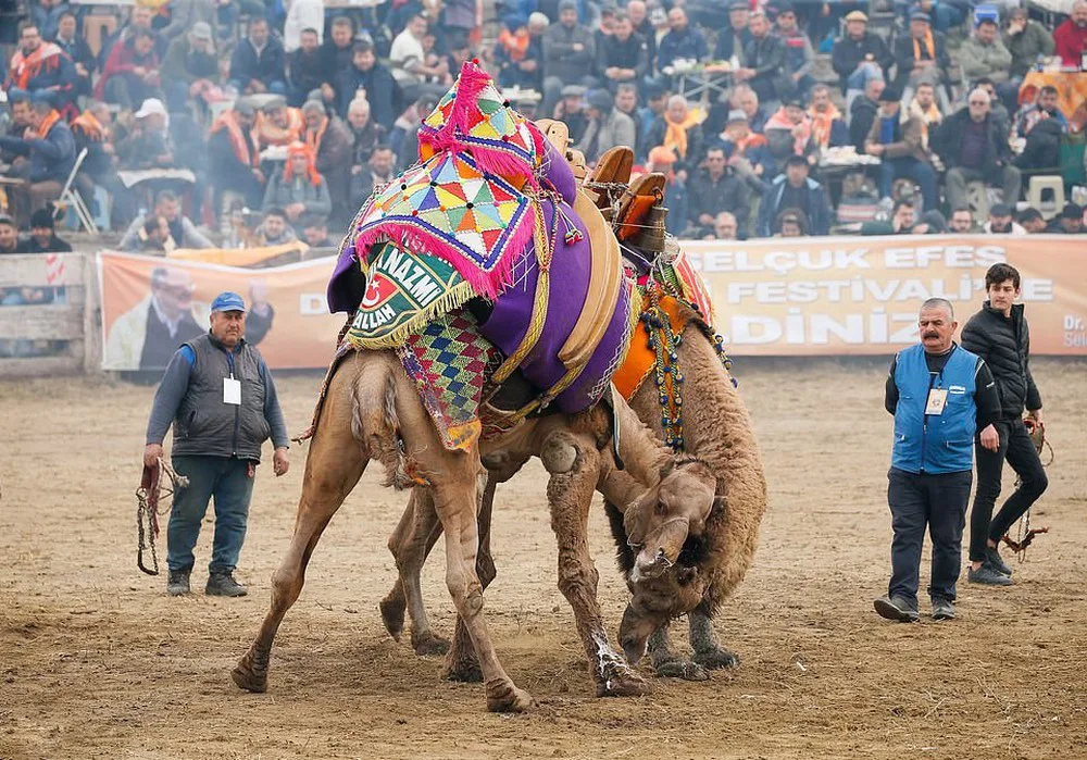 Vũ điệu whirling dervishes mê hoặc