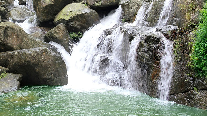 Khung cảnh yên bình của cánh đồng lúa ở Quế Sơn