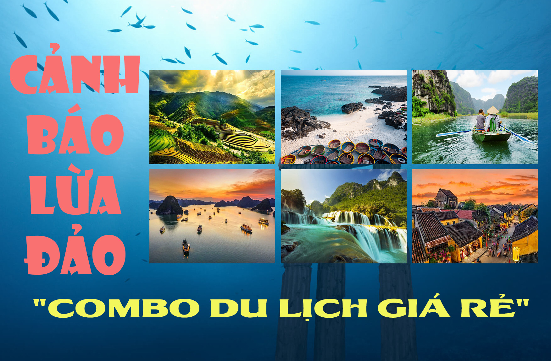 Cảnh báo lừa đảo combo tour du lịch