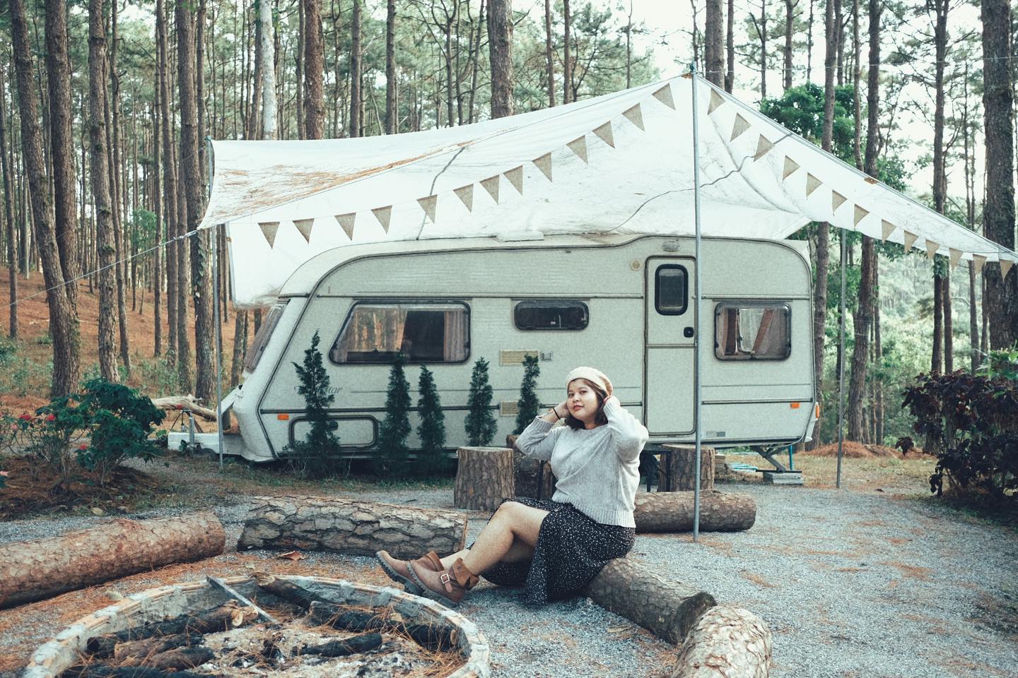 Rừng thông Doi Bo Luang Fio trong màn sương sớm, tạo nên khung cảnh huyền ảo và yên bình.