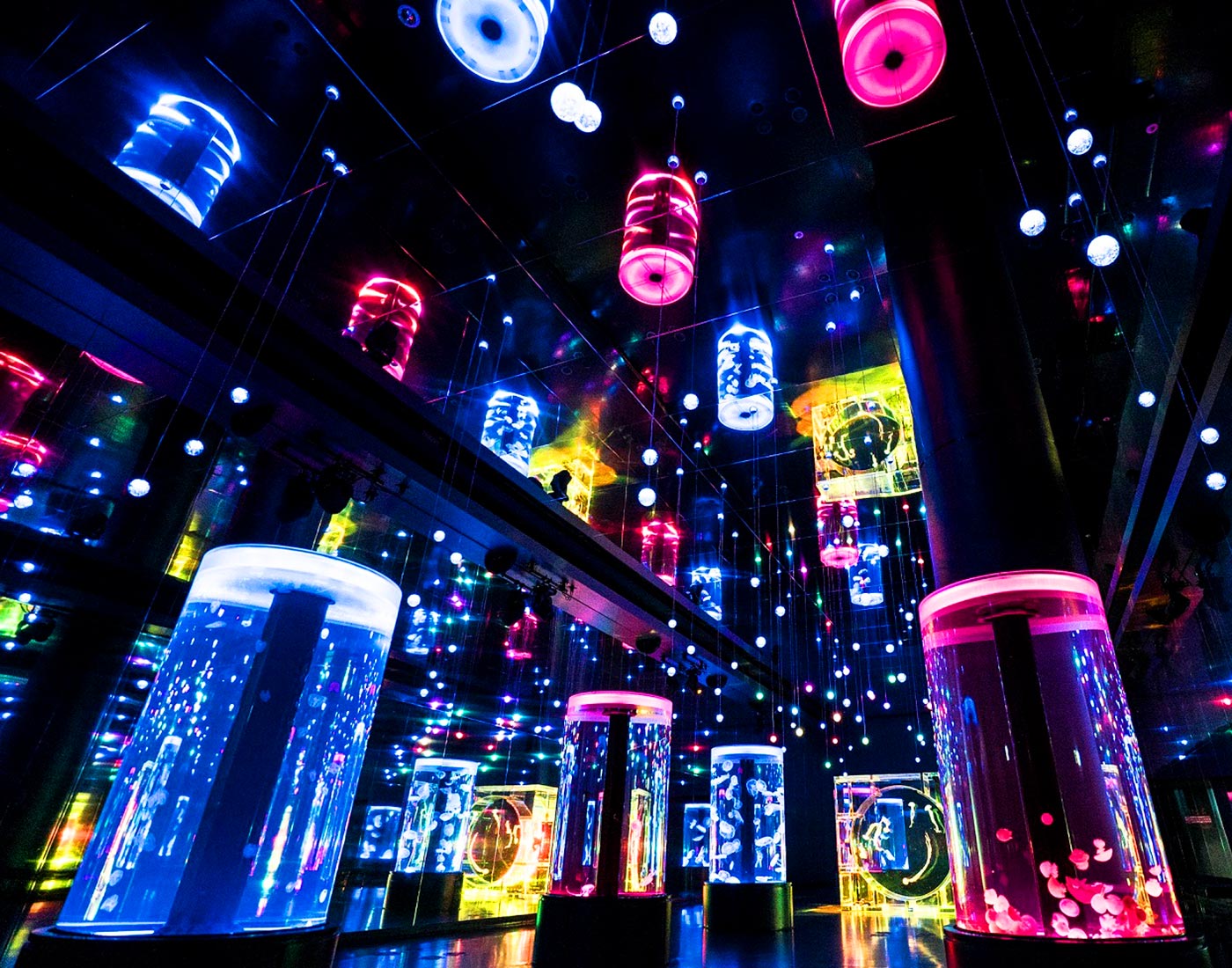 Màn trình diễn tại Maxell Aqua Park Shinagawa