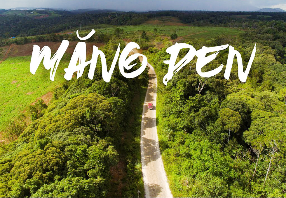 Rừng chết Măng Đen huyền ảo