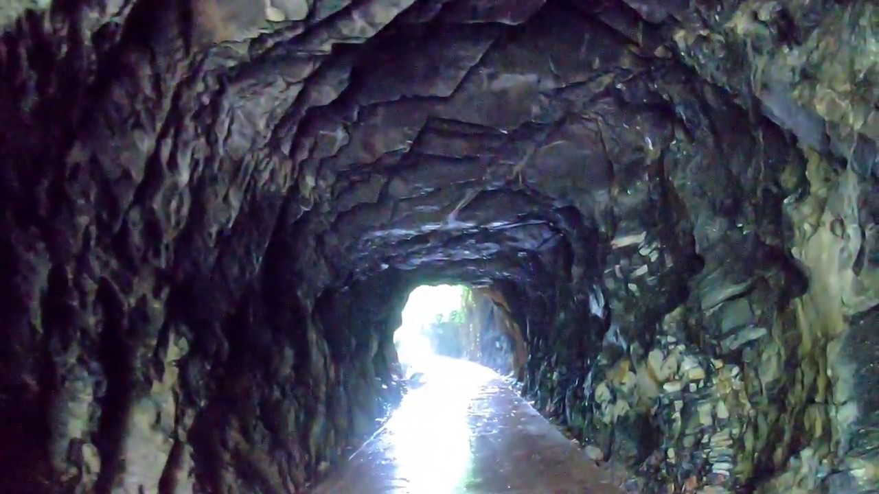 Thái Nguyên Có Gì? Lạc Lối Vào ‘Đường Hầm Xanh’ Cổ Tích Giữa Núi Rừng Bản Loàn