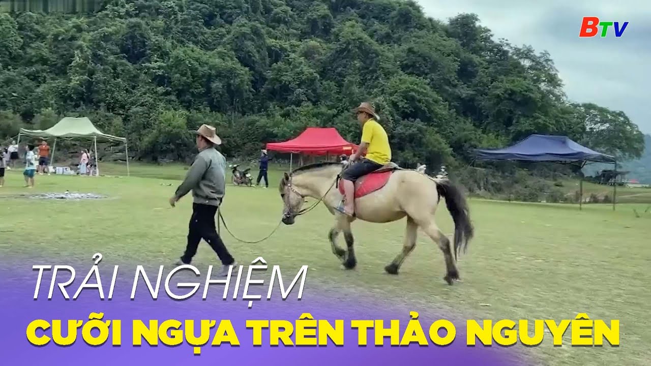 Toàn cảnh nông trại bầu trời với tua bin gió và núi tuyết