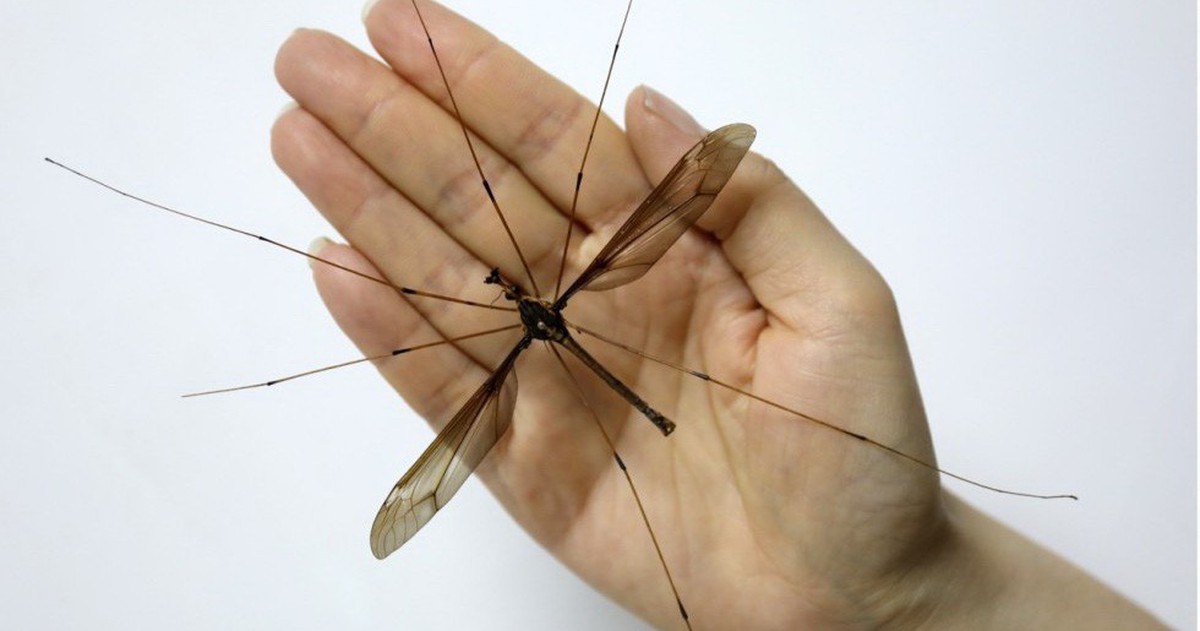 Mảng băng tan chảy, minh họa biến đổi khí hậu