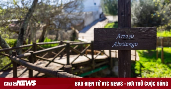 Cầu El Marco nhìn từ trên cao