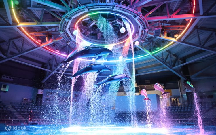 Khu Jellyfish Ramble tại Maxell Aqua Park