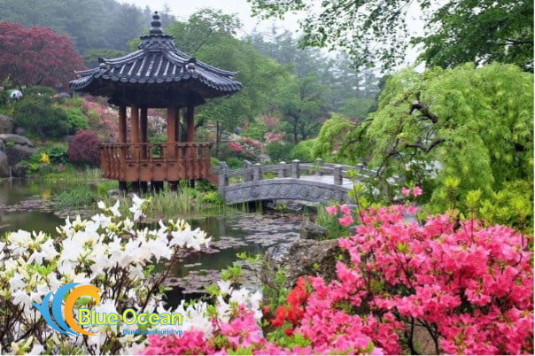 Con đường thanh bình trong Vườn Morning Calm