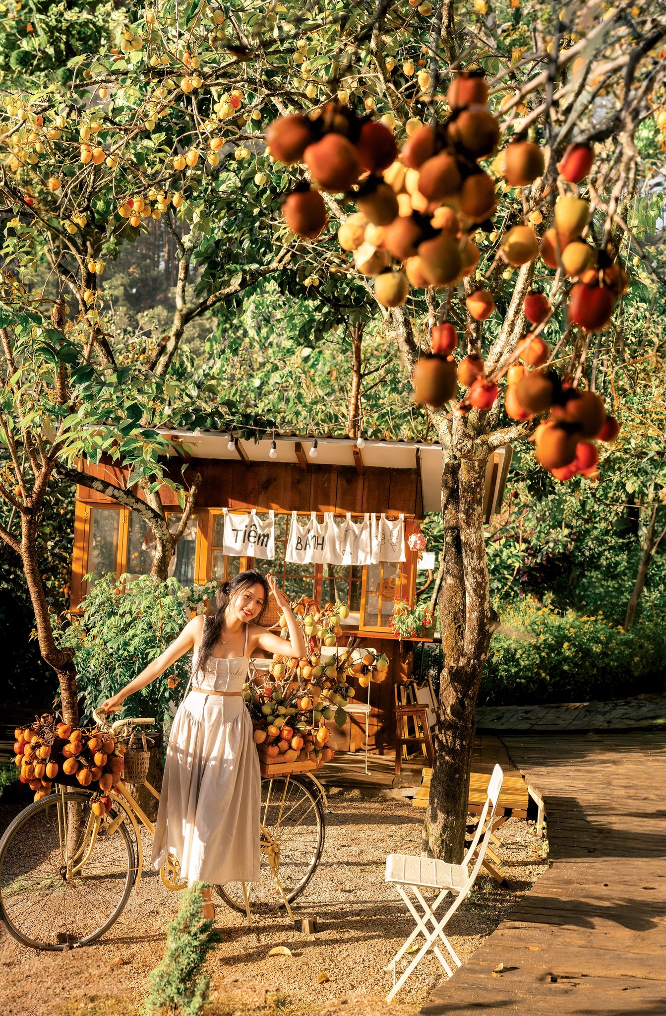 Vườn hồng giòn Măng Đen chín mọng