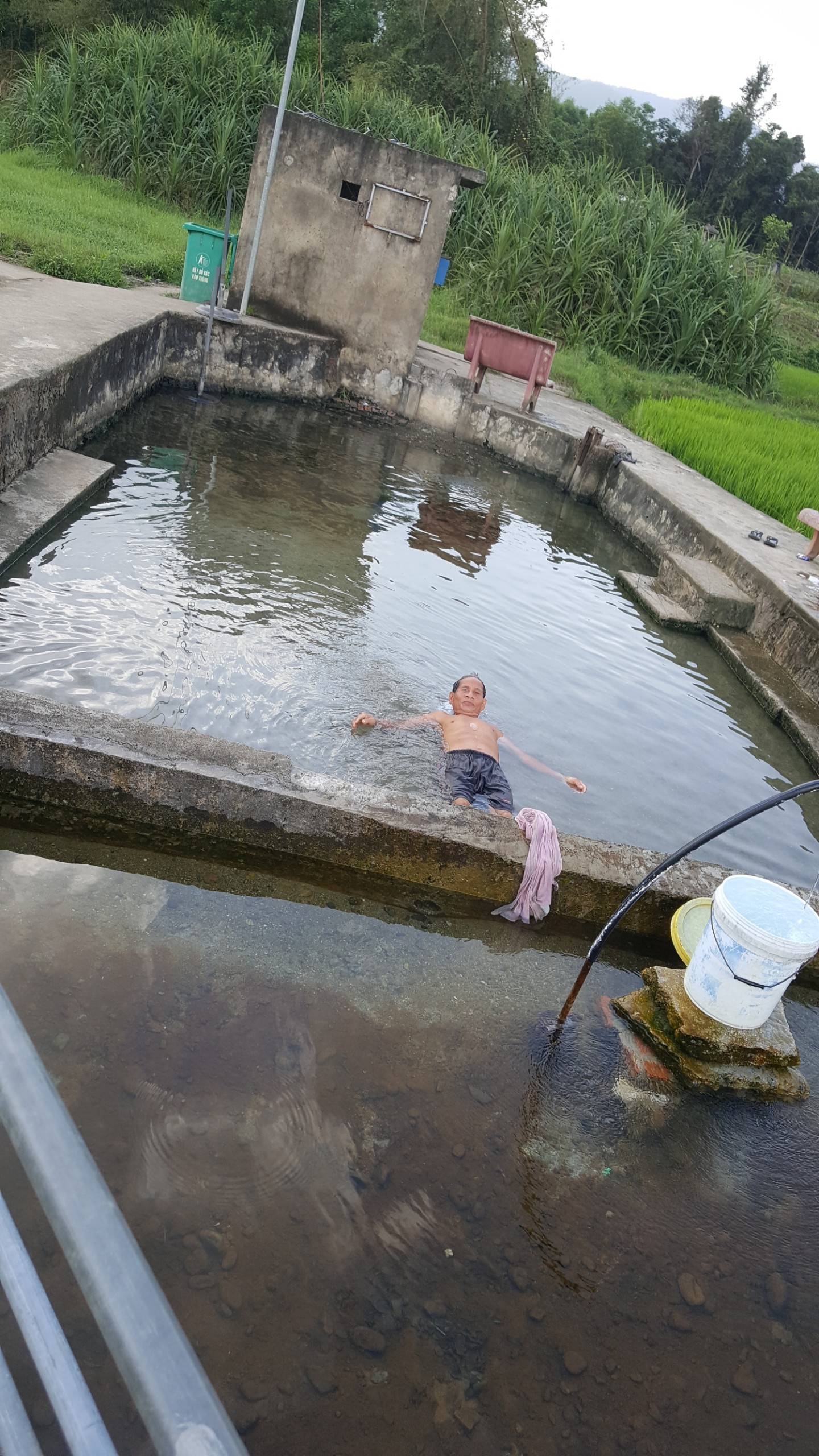 Cảnh quan đường đến Bàn Thạch với những cánh đồng lúa xanh mướt