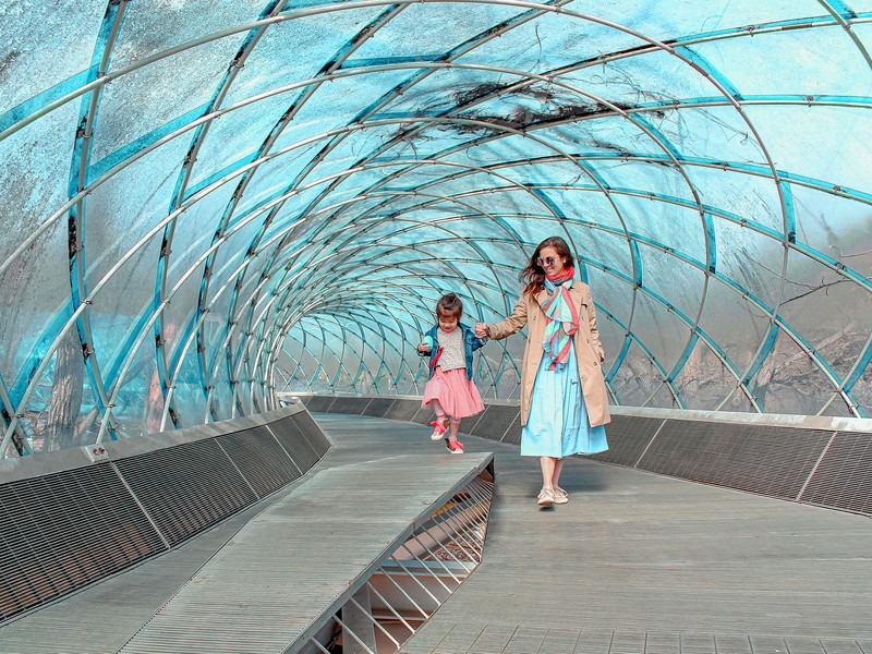 Cung đường hầm 'Linear Building on the tree'