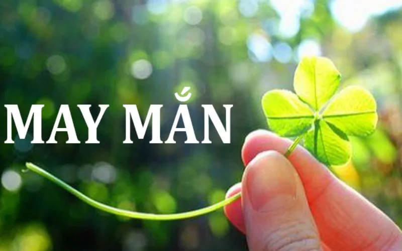 Hình ảnh về sự may mắn, cơ hội